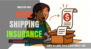 Etsy Shipping Insurance: Current Policies and Seller Protection Explained