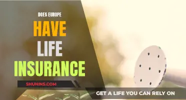 Life Insurance in Europe: What You Need to Know