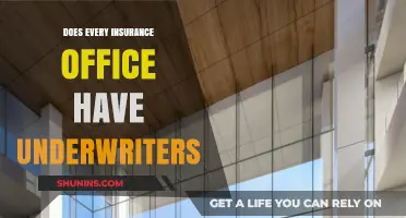 Do All Insurance Offices Employ Underwriters? Exploring the Industry Norms