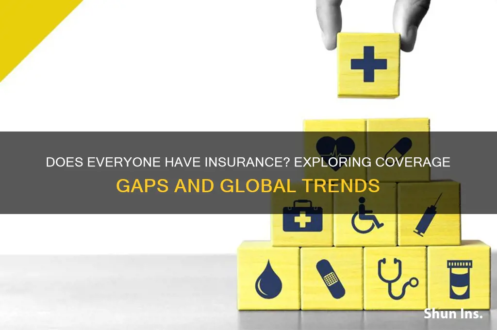 does everyone have insurance