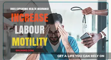 Expanding Health Insurance: Impact on Labor Mobility and Workforce Flexibility