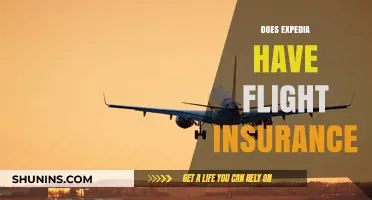 Does Expedia Offer Flight Insurance? A Comprehensive Guide for Travelers