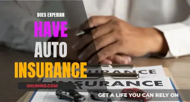 Experian's Auto Insurance Offering: What You Need to Know