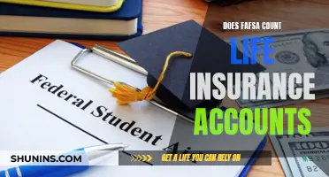 Fafsa and Life Insurance: What You Need to Know