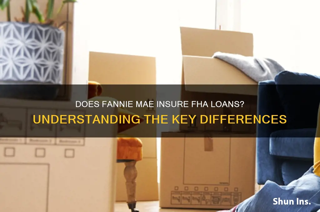 does fannie mae insure fha loans