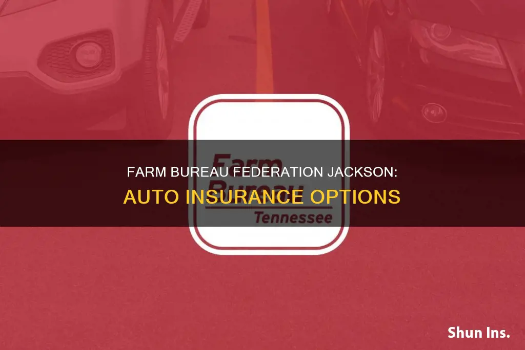 does farm bureau federation jackson have auto insurance