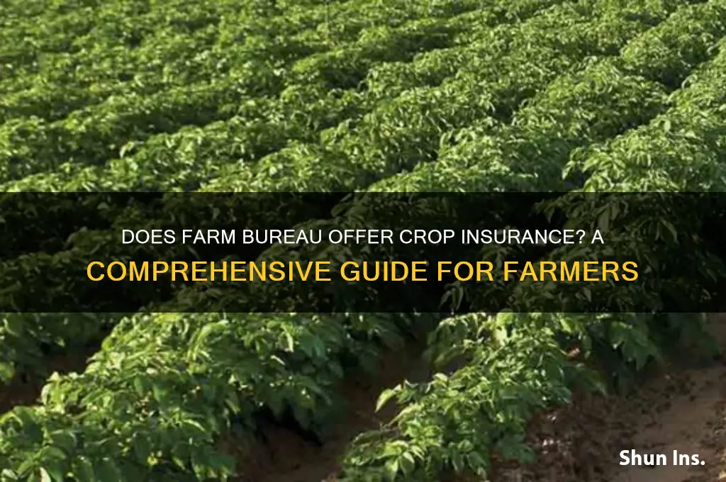 does farm bureau have crop insurance