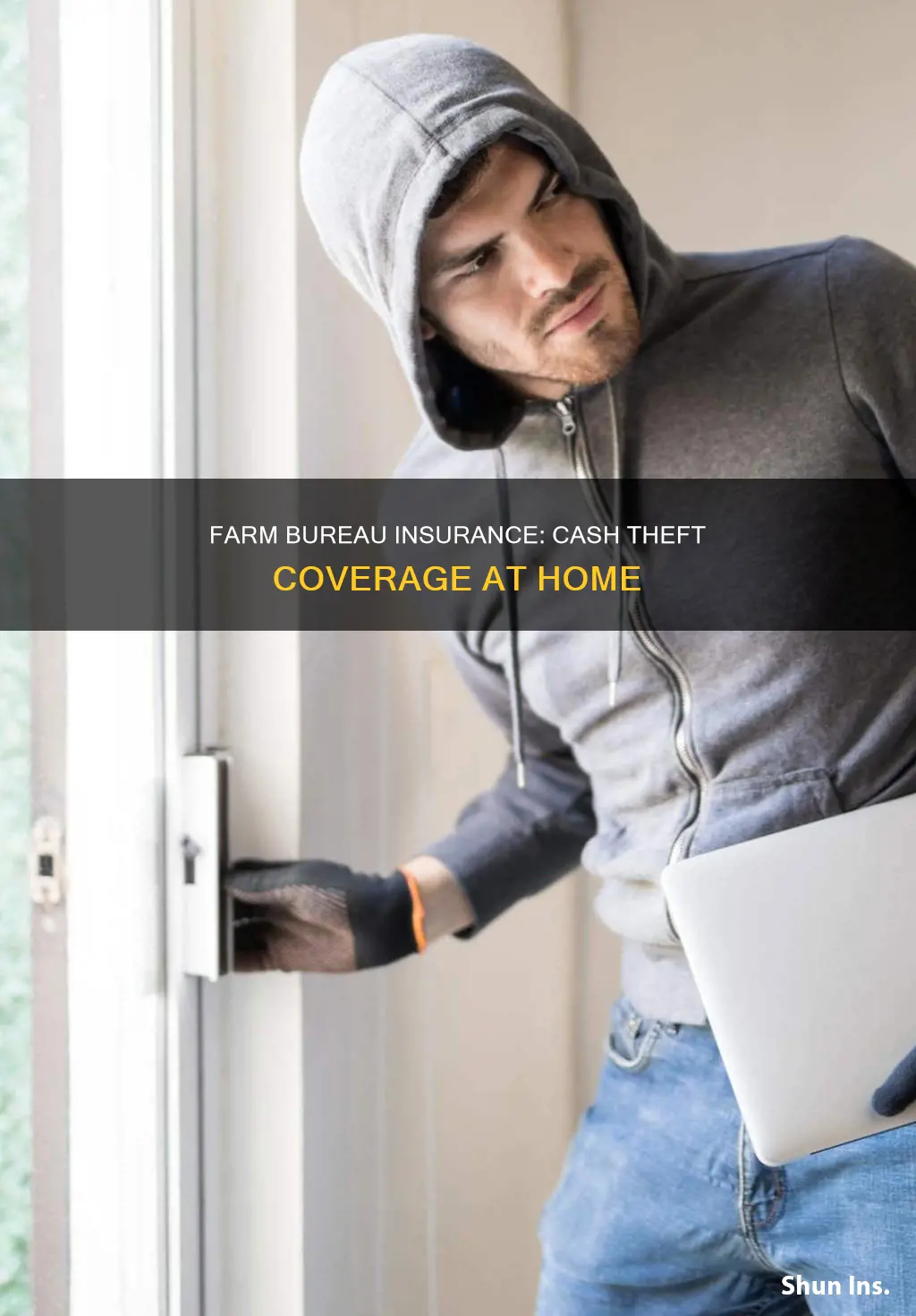does farm bureau homeowners insurance cover theft of cash