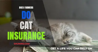 Farmers Insurance: Exploring Their Cat Insurance Options