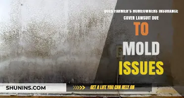 Farmer's Home Insurance: Mold Lawsuits Covered?