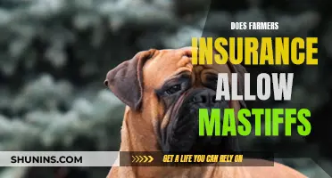 Farmers Insurance and Mastiffs: A Policy Overview