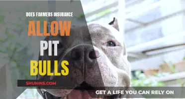 Farmers Insurance and Pit Bulls: Understanding the Policy Pitfalls