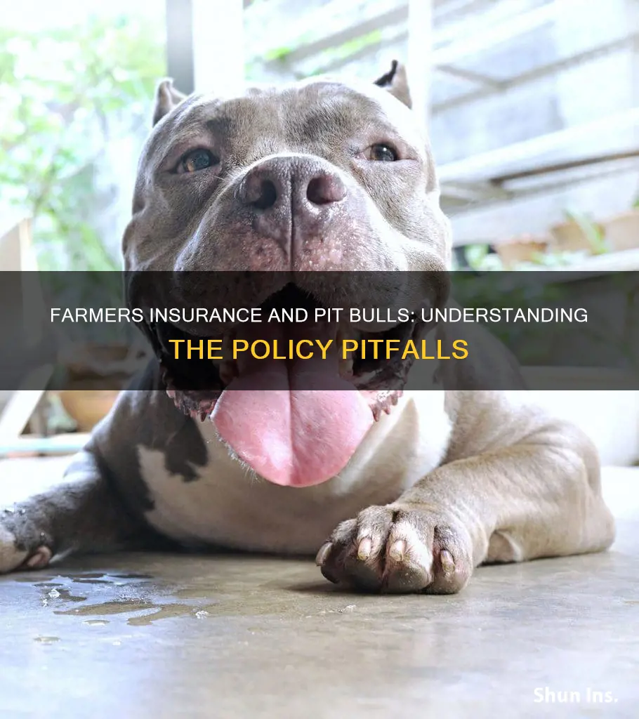 does farmers insurance allow pit bulls