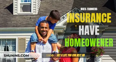 Farmers Insurance: Unraveling Homeowners Insurance Options