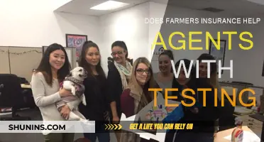 Farmers Insurance: Supportive Testing for Agents