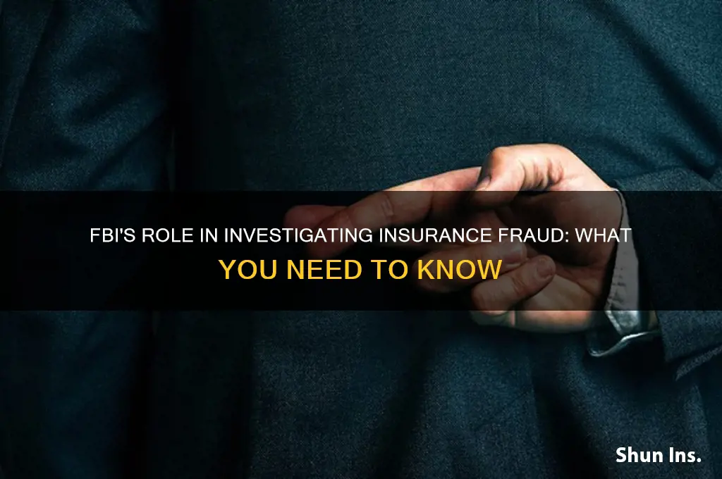 does fbi investigate insurance fraud