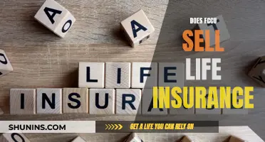 FCCU: Life Insurance Options and Availability