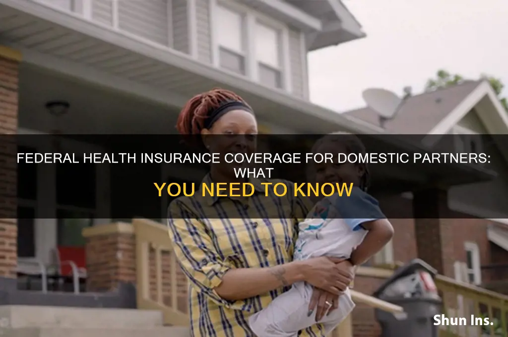 does federal health insurance cover domestic partners