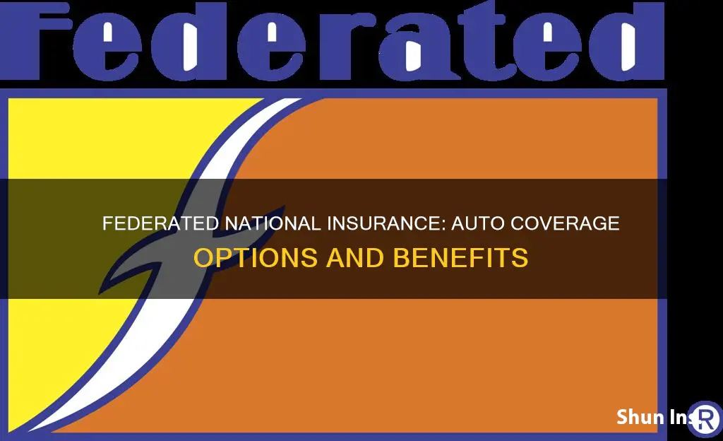 does federated national insuirance offer auto insurance