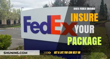 Does FedEx Ground Insure Your Package? What You Need to Know