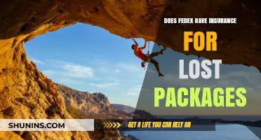 Does FedEx Offer Insurance for Lost Packages? What You Need to Know