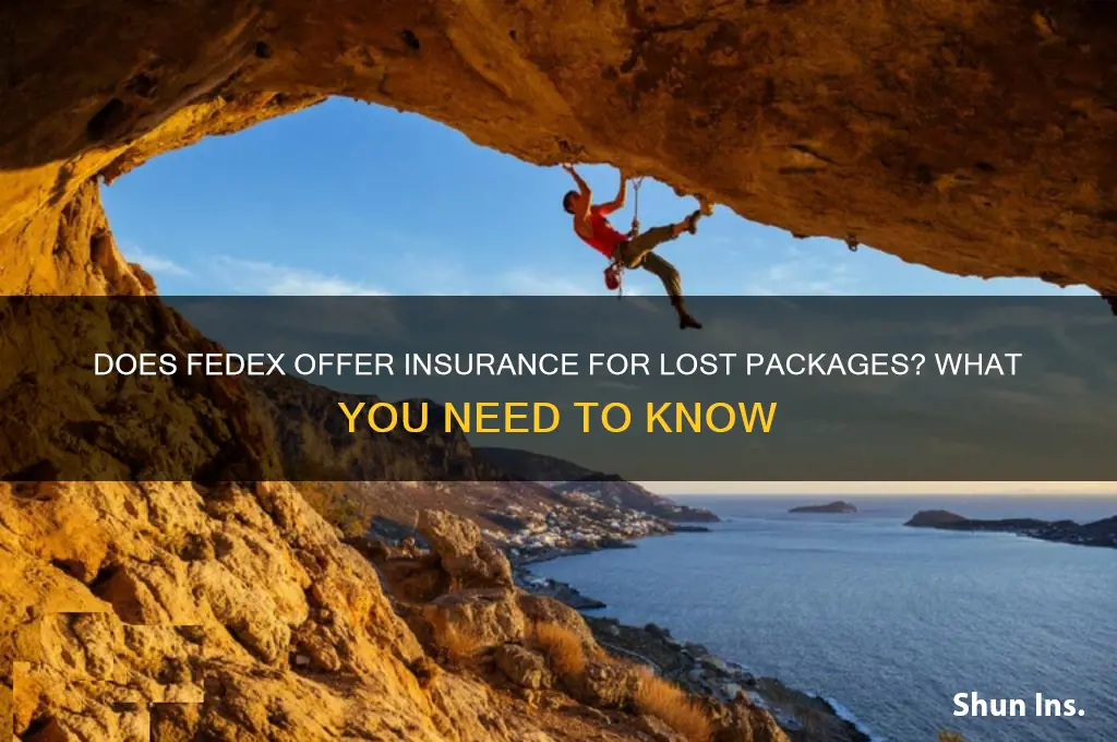 does fedex have insurance for lost packages
