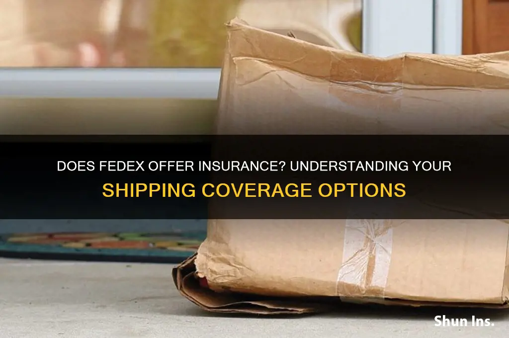 does fedex have insurance
