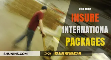 Does FedEx Insure International Packages? Coverage, Limits, and Claims Explained