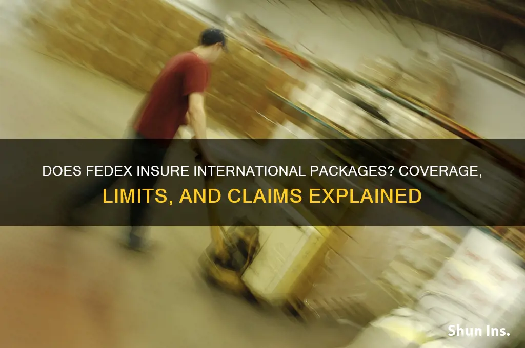 does fedex insure international packages