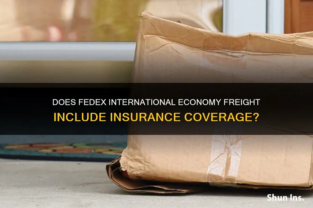 Does Fedex International Economy Freight Include Insurance Coverage ...