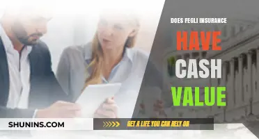 Does FEGLI Insurance Offer Cash Value? Understanding Your Policy Benefits