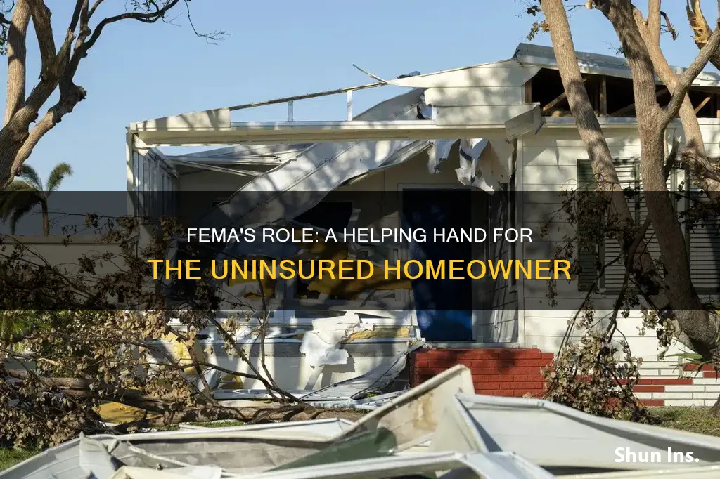 does fema help homeowners with no insurance