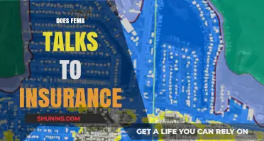 Does FEMA Coordinate with Insurance Companies for Disaster Claims?