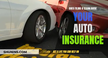 Auto Insurance Claims: The Cost of Convenience