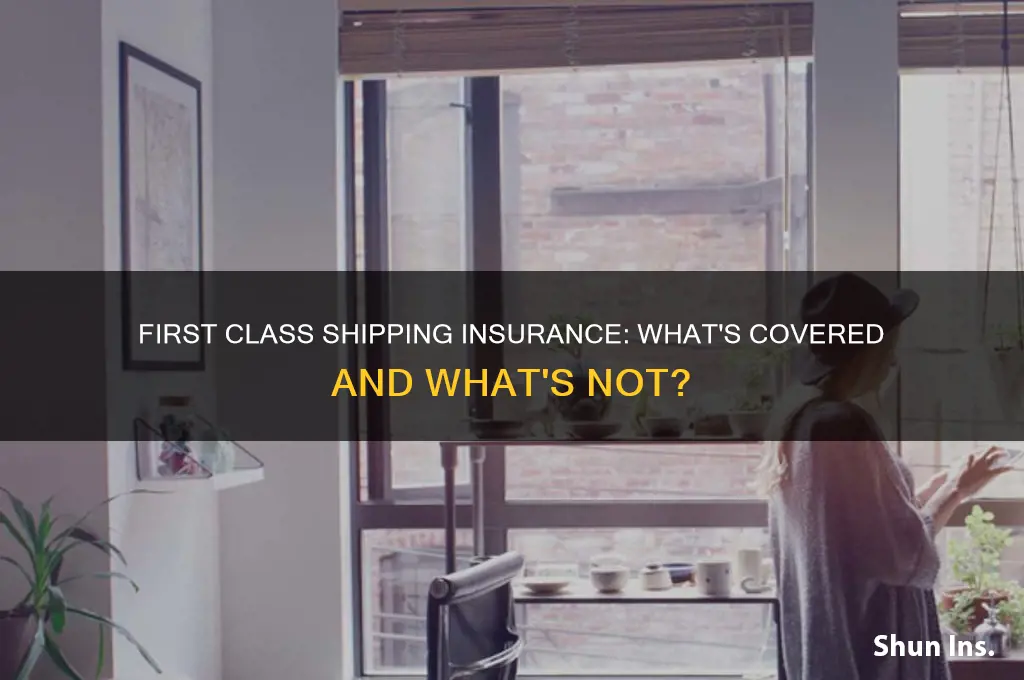 does first class shipping have insurance
