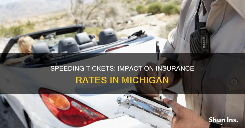 does first speeding ticket affect insurance rate in Michigan