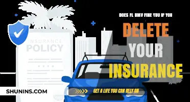 Deleting Car Insurance in Florida: Will the DMV Issue a Fine?