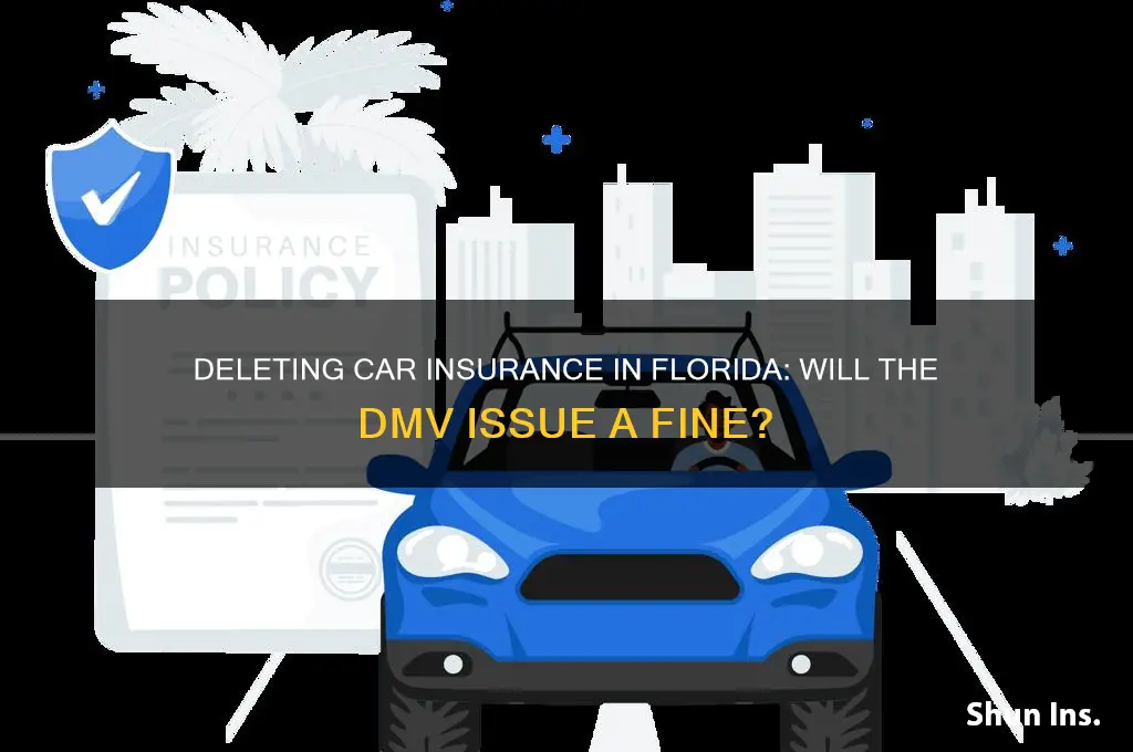 does fl dmv fine you if you delete your insurance