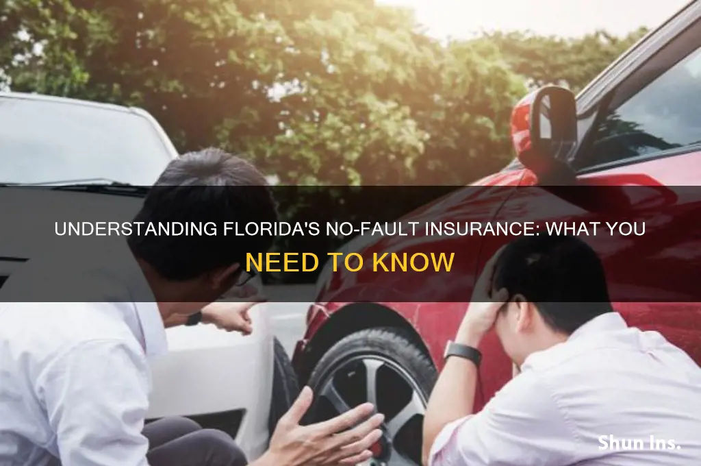 does fl have no fault insurance