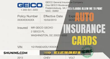 Print-at-Home Auto Insurance Cards: Florida's Unique Approach