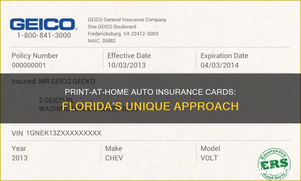 does florida allow me to print auto insurance cards