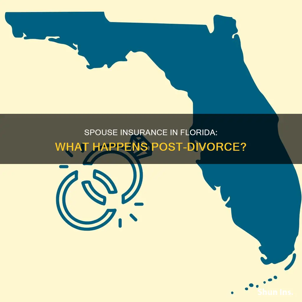 does florida allow spouse insurance after divorce