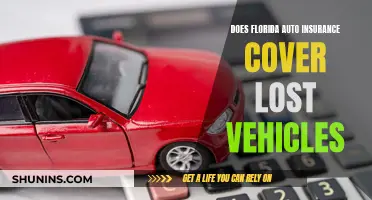 Florida Auto Insurance: Lost Vehicle Coverage Explained