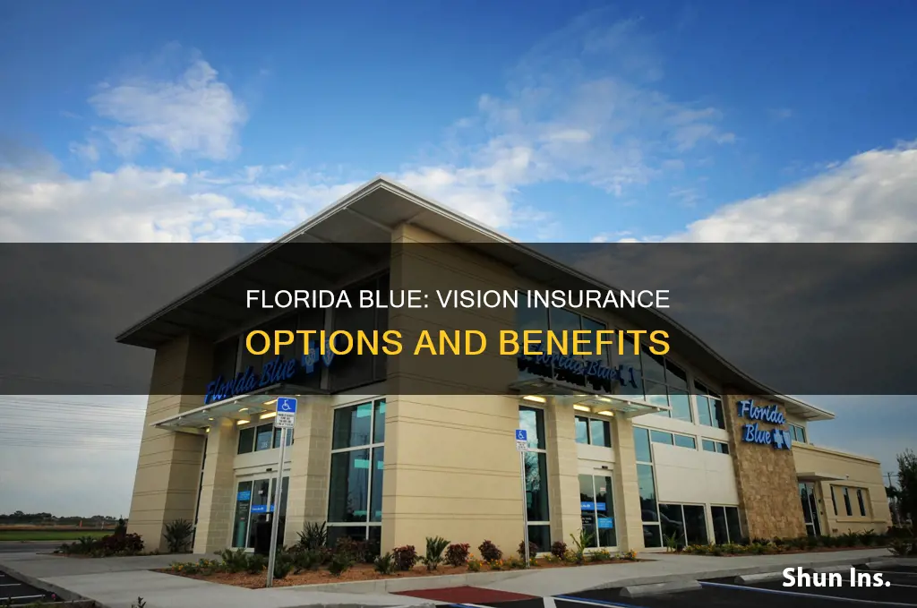 does florida blue have vision insurance