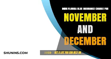 Florida Blue Insurance: November and December Charges?