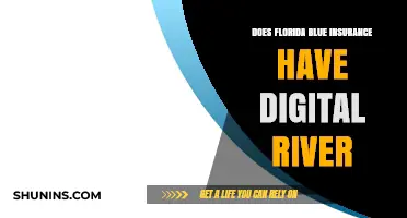 Florida Blue Insurance: Digital River's Role