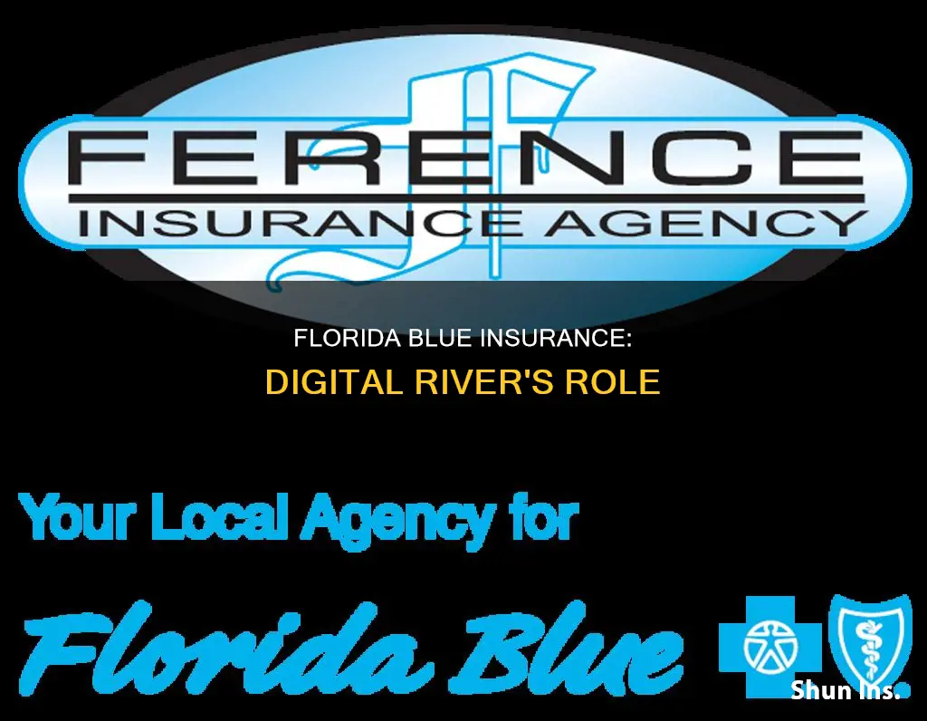 does florida blue insurance have digital river