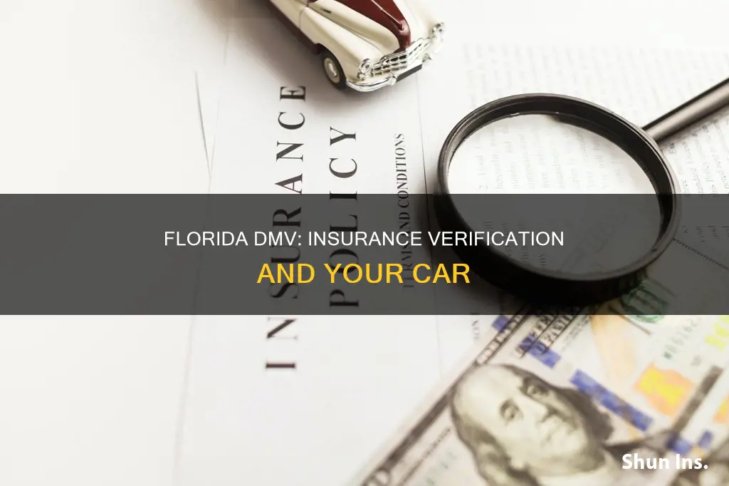 does florida dmv verify insurance