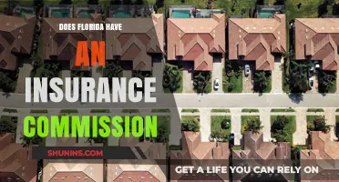 Florida's Insurance Commission: What You Need to Know