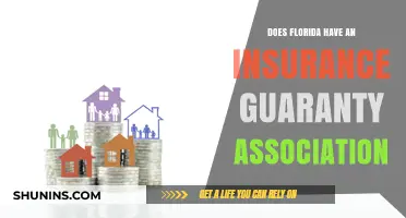 Florida's Insurance Guaranty Association: What You Need to Know